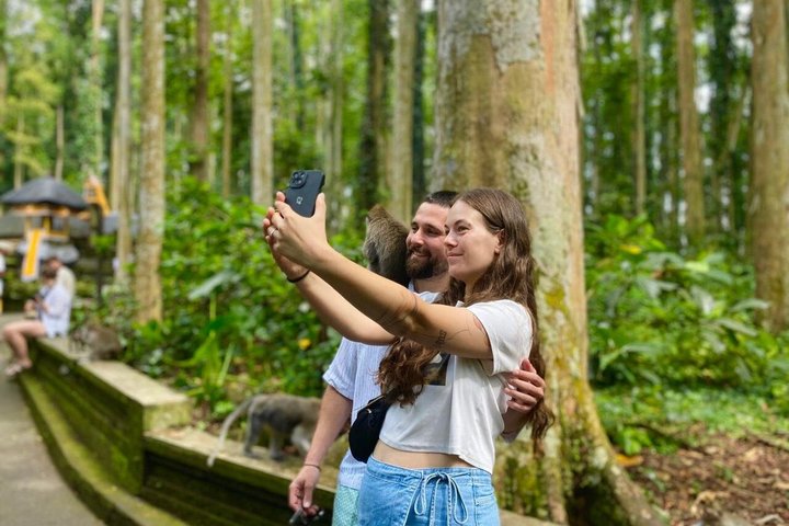 Ubud : Bosque de Monos, Terraza de Arroz, Cueva del Elefante & Tour en Cascada