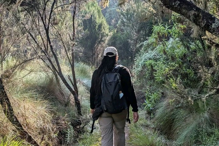 Experiencia de un día en el Kilimanjaro por KILITA SAFARIS