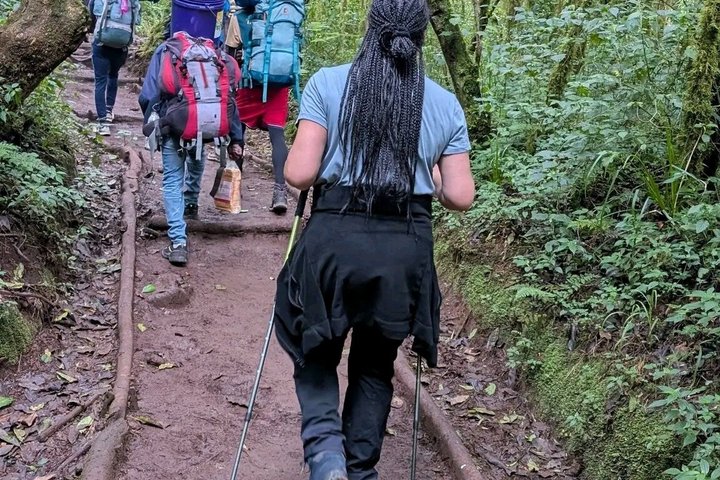 Experiencia de un día en el Kilimanjaro por KILITA SAFARIS