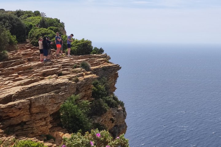 Privé Marseille-kustexcursie Aix en Provence Cassis Tour