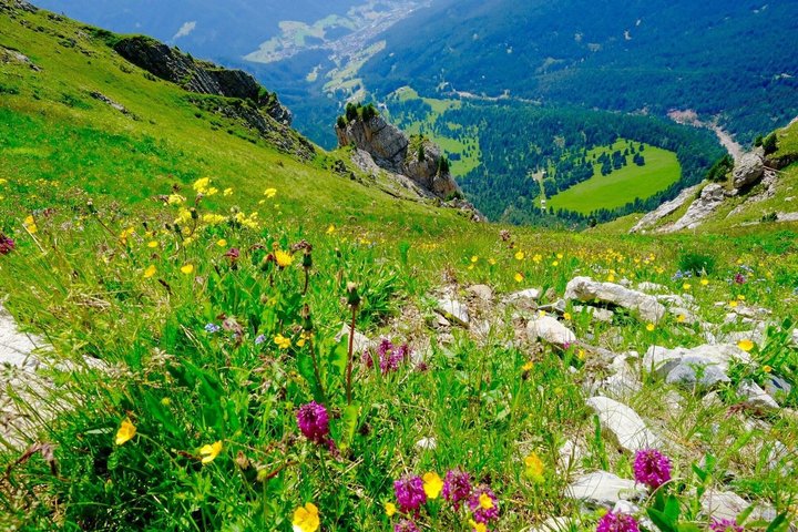 Von Bozen ins Föhntal ,Seceda und St. Ulrich Tagestour