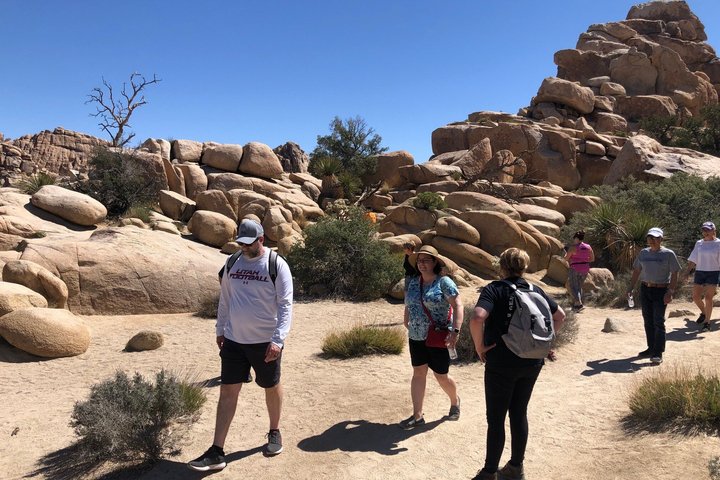 Recorrido todoterreno por el Parque Nacional Joshua Tree