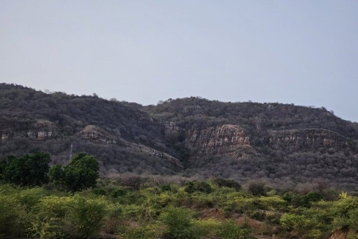 Ranthambore Tiger Safari i Jeep eller galopp med pickup