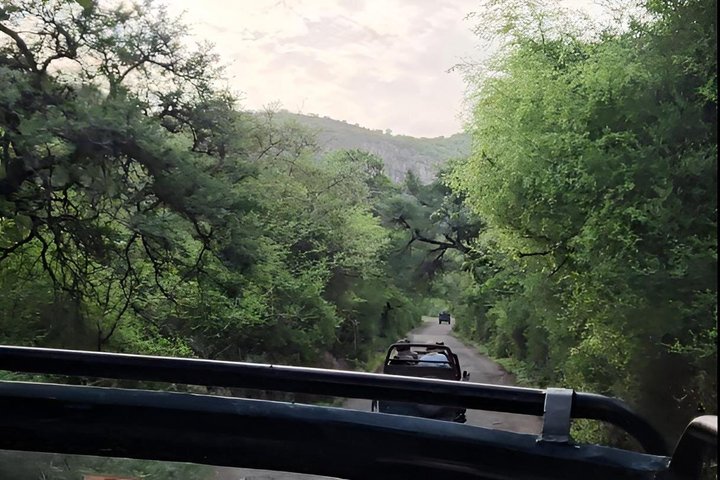 Ranthambore Tiger Safari i Jeep eller galopp med pickup