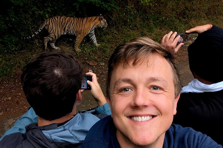 Ranthambore Tiger Safari i Jeep eller galopp med pickup