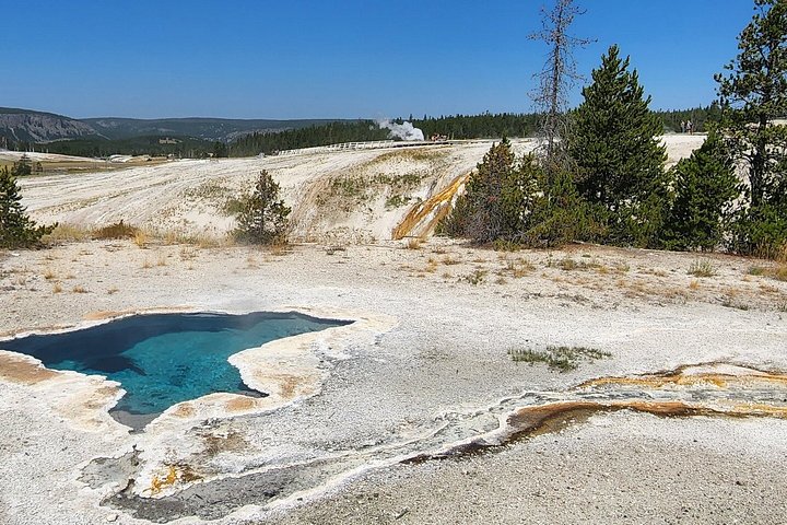 Private Yellowstone Wildlife Tour i den amerikanske Serengeti