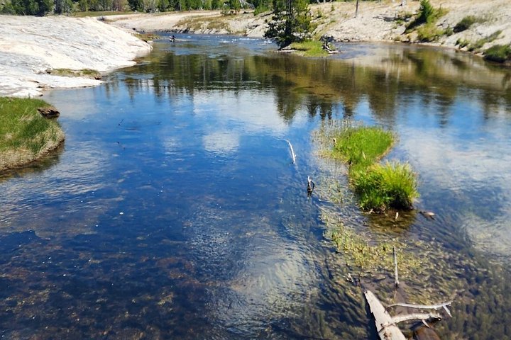 Private Yellowstone Wildlife Tour i den amerikanske Serengeti