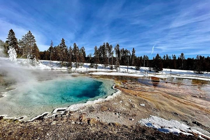 Private Yellowstone Wildlife Tour i den amerikanske Serengeti