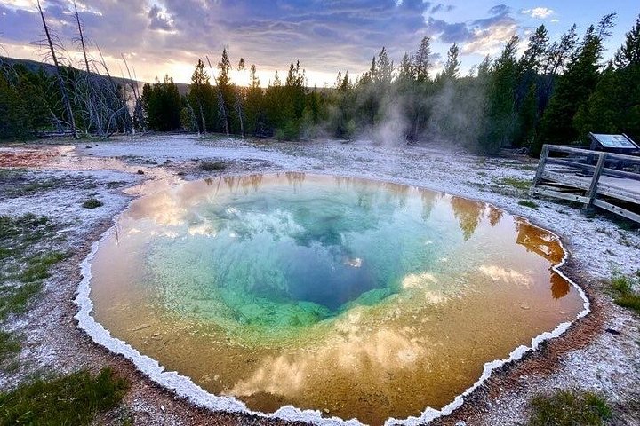 Private Yellowstone Wildlife Tour i den amerikanske Serengeti