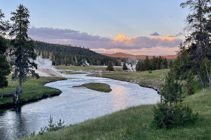 Private Yellowstone Wildlife Tour i den amerikanske Serengeti