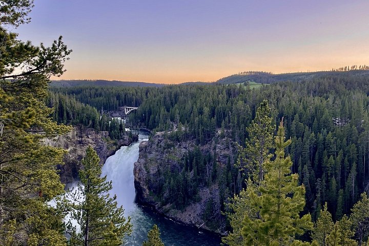 Private Yellowstone Wildlife Tour i den amerikanske Serengeti