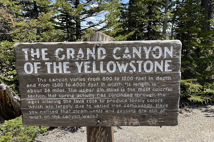 Private Yellowstone Wildlife Tour i den amerikanske Serengeti