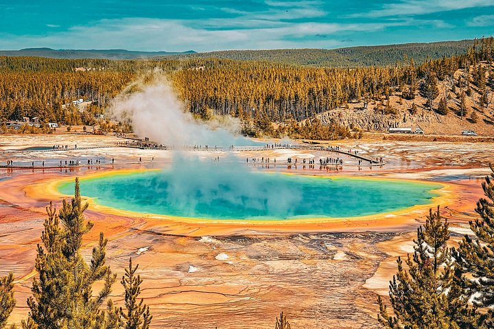 Private Yellowstone Wildlife Tour i den amerikanske Serengeti