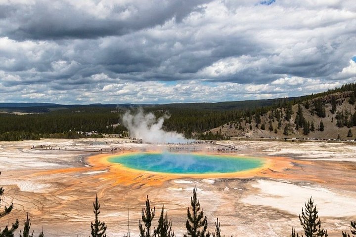 Private Yellowstone Wildlife Tour i den amerikanske Serengeti