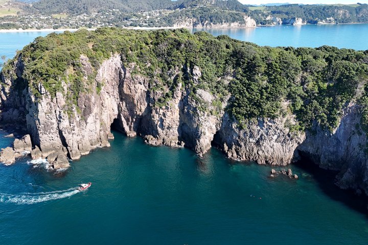 Cathedral Cove Scenic Cruises Explore cavernas e costa
