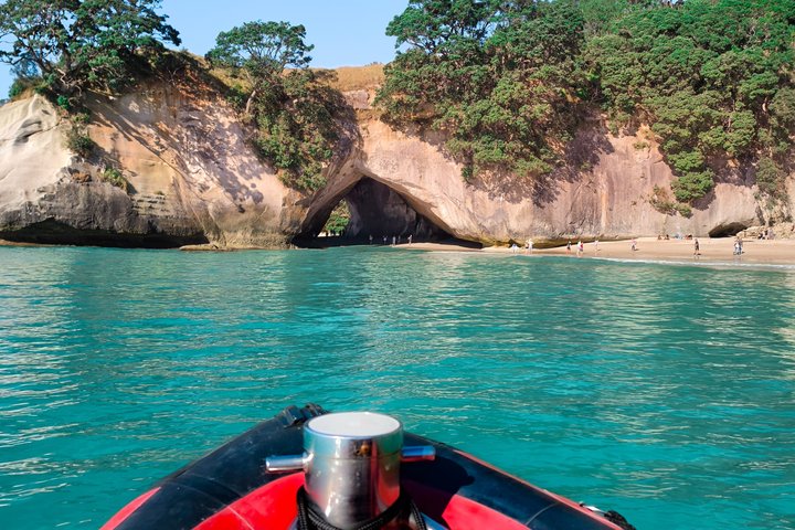 Cathedral Cove Scenic Cruises Explore cavernas e costa