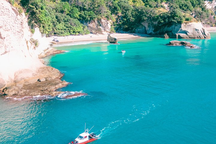 Cathedral Cove Scenic Cruises Explore cavernas e costa