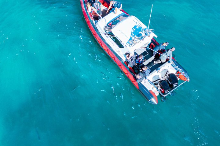 Cathedral Cove Scenic Cruises Explore cavernas e costa