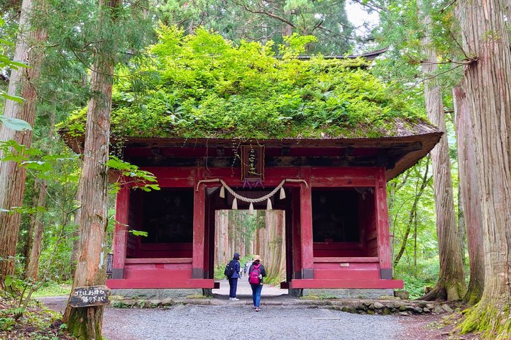 Tour di un'intera giornata dello Snow Monkey Park e del Santuario di Togakushi a Nagano