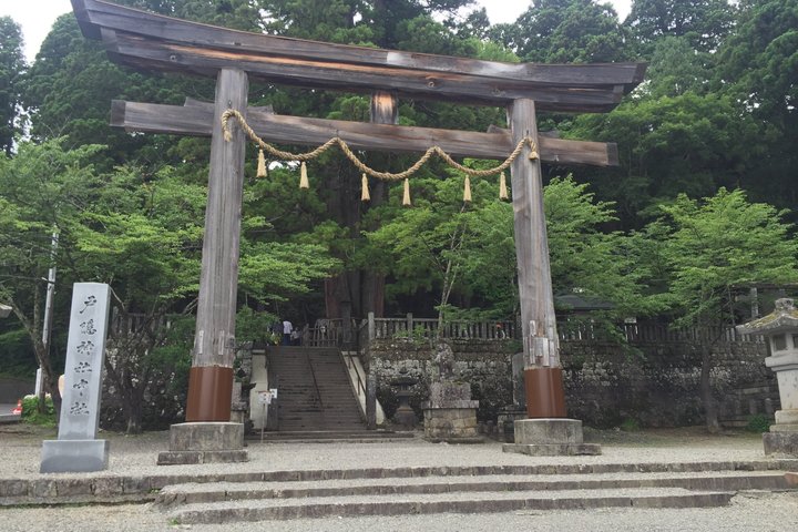 Tour di un'intera giornata dello Snow Monkey Park e del Santuario di Togakushi a Nagano
