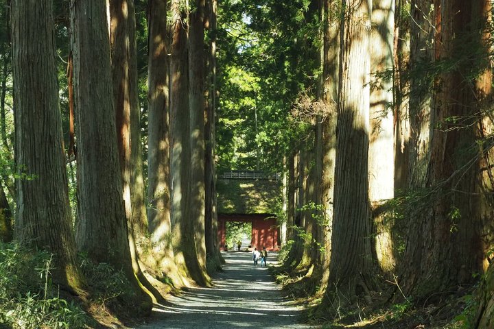 Tour di un'intera giornata dello Snow Monkey Park e del Santuario di Togakushi a Nagano