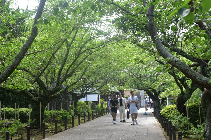 Temples de Kamakura et évasion balnéaire en véhicule privé depuis Tokyo