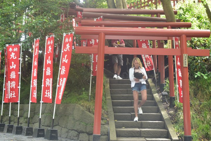 Temples de Kamakura et évasion balnéaire en véhicule privé depuis Tokyo