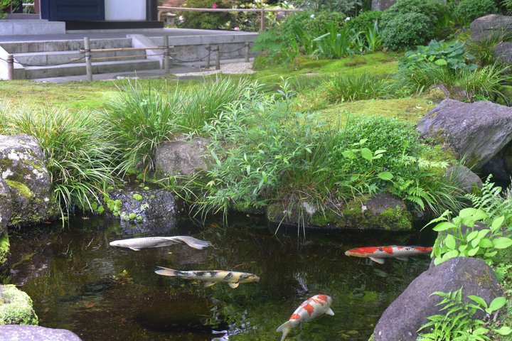 Temples de Kamakura et évasion balnéaire en véhicule privé depuis Tokyo