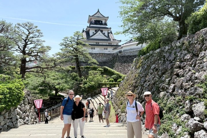 Il meglio di Kochi Tour di mezza giornata: Castello e mercato di Hirome