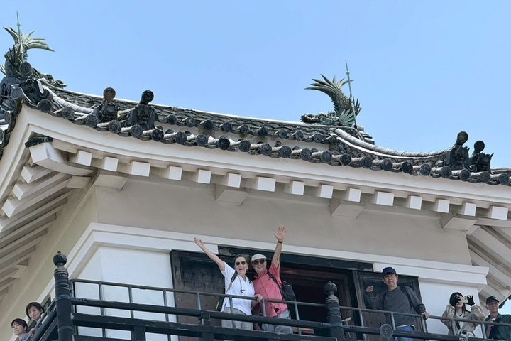 Il meglio di Kochi Tour di mezza giornata: Castello e mercato di Hirome