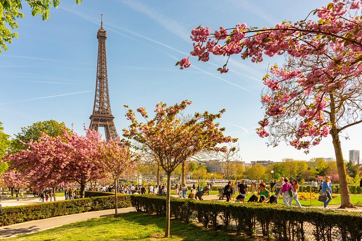 Excursión de un día a París con conductor privado desde Le Havre | Guía opcional
