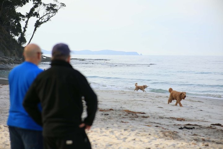 Les anmeldelser av Bruny Island - Wild Escapes from Hobart