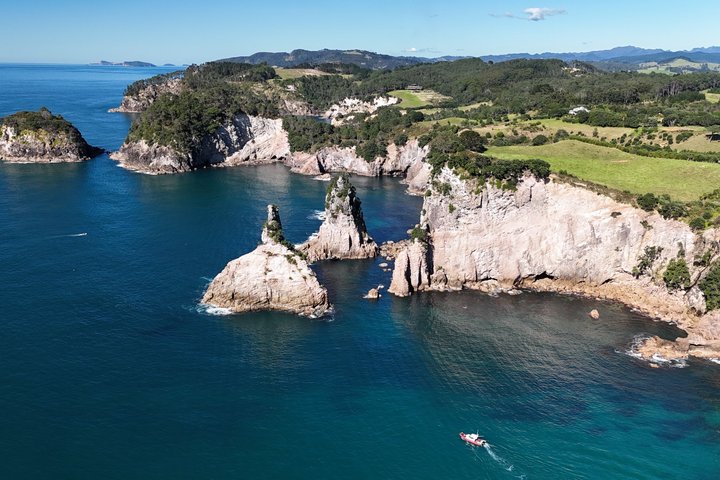 Cathedral Cove Scenic Cruises Explore cavernas e costa