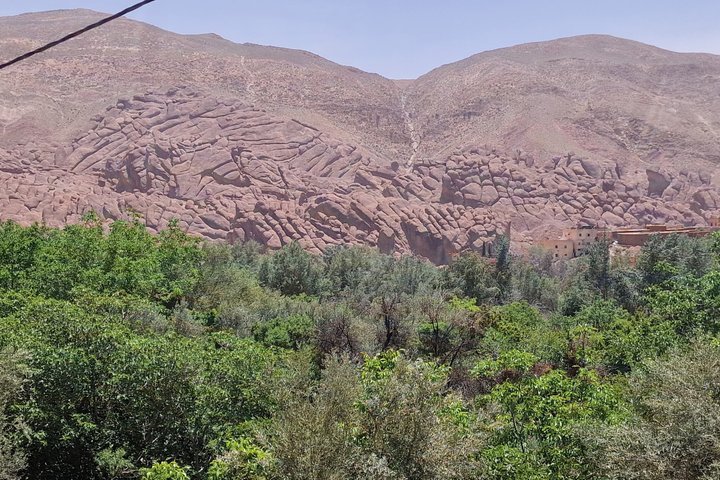 Privat udflugt fra Ouarzazate til Gorges Dades, Valley of Roses og Skoura