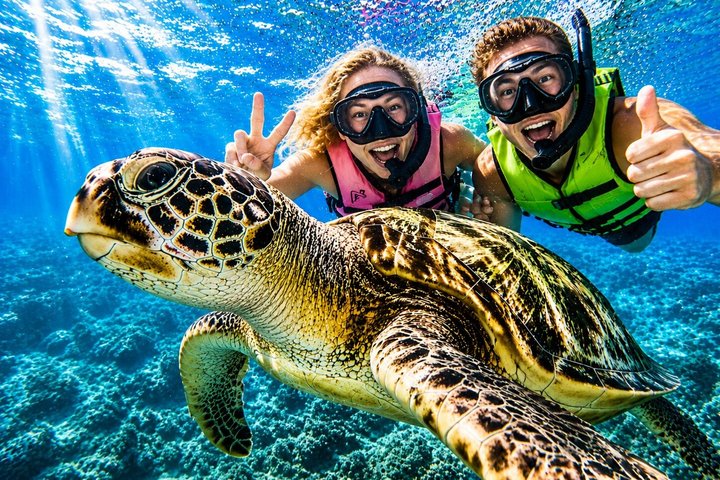 Waikiki Schildkröte Schnorcheln & 6 - in - 1 Abenteuer mit kostenloser Abholung