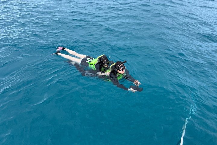 Waikiki Schildkröte Schnorcheln & 6 - in - 1 Abenteuer mit kostenloser Abholung