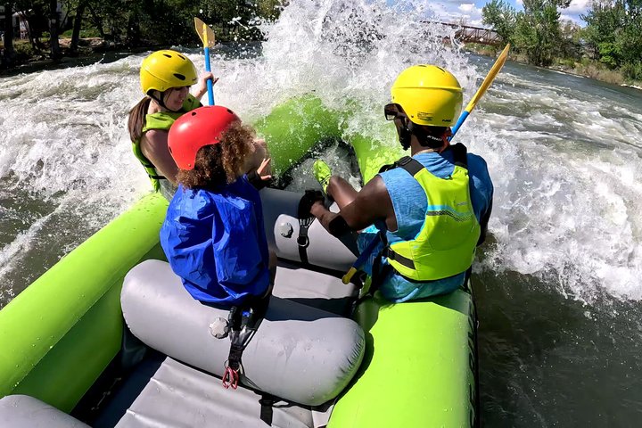 Geführte Rafting-, Schwimm- und Wildtier-Tour auf dem Boise River