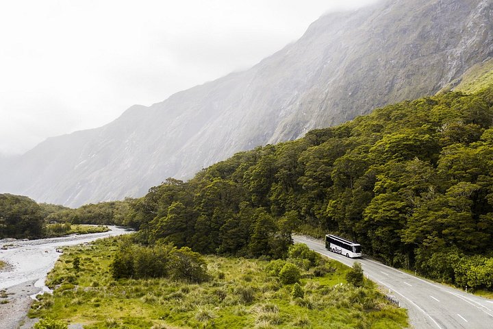 Tour de Milford Sound con autocar de techo de cristal y crucero desde Te Anau