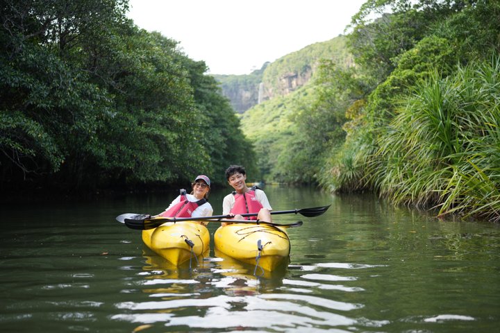 Excursion d'une demi-journée dans la mangrove de Pinaisara Kayak et trekking