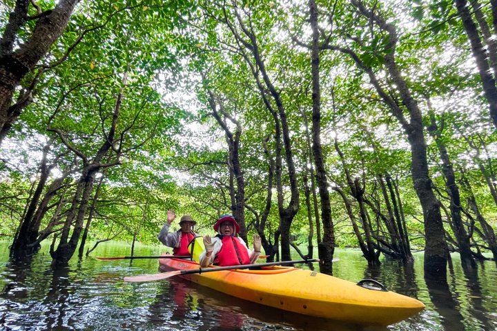 Excursion d'une demi-journée dans la mangrove de Pinaisara Kayak et trekking