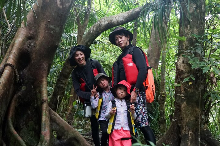 Excursion d'une demi-journée dans la mangrove de Pinaisara Kayak et trekking