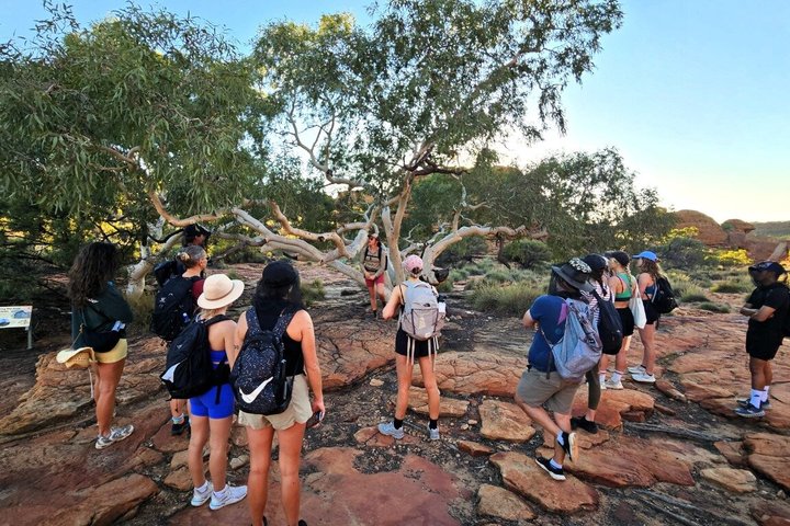 Uluru, Kata Tjuta y Kings Canyon Camping Safari de Ayers Rock