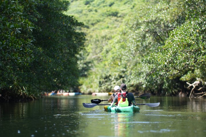 Excursion d'une demi-journée dans la mangrove de Pinaisara Kayak et trekking