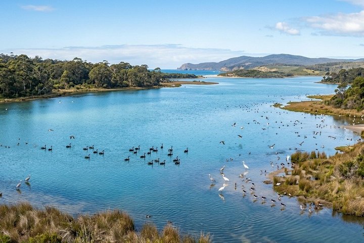 Bruny Island & The Margate Train : Food, Wildlife & Coastal View