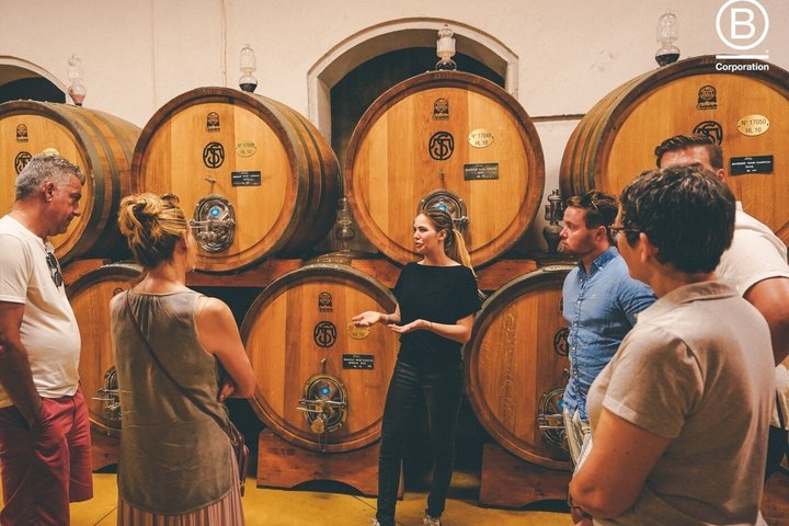 Amarone Wine Tasting Tour fra Verona med privat transport