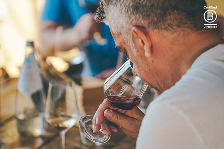 Amarone Wine Tasting Tour fra Verona med privat transport