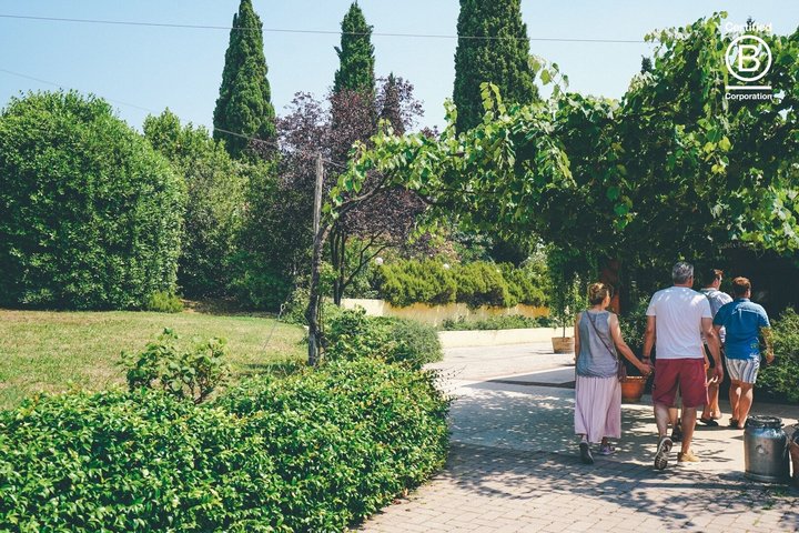 Amarone Wine Tasting Tour fra Verona med privat transport