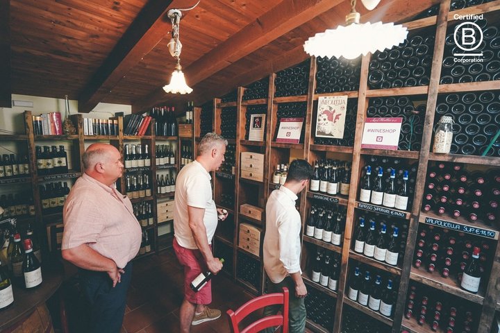 Amarone Wine Tasting Tour fra Verona med privat transport