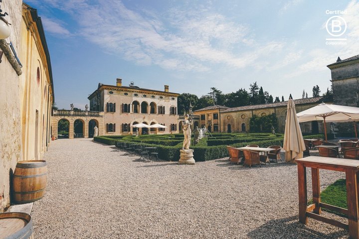 Amarone Wine Tasting Tour fra Verona med privat transport