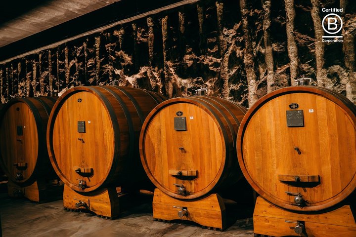 Amarone Wine Tasting Tour fra Verona med privat transport